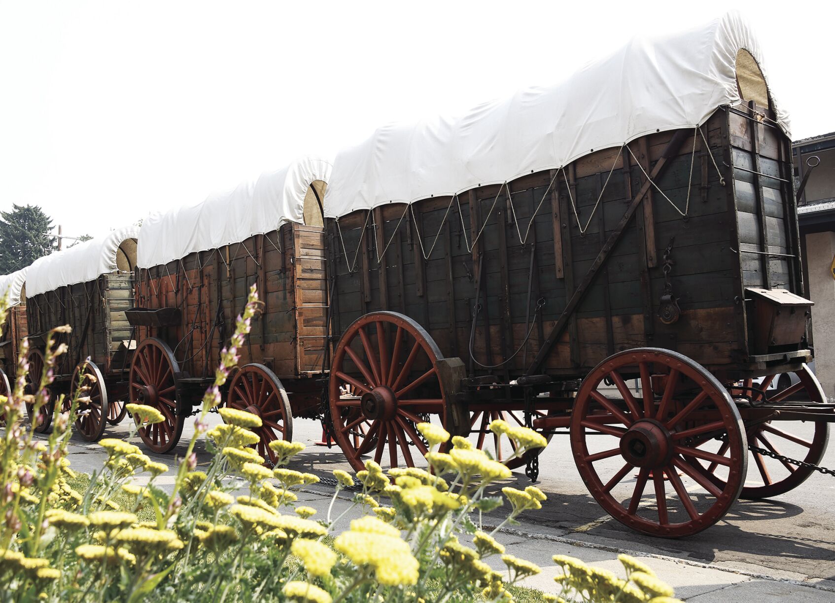 wagon